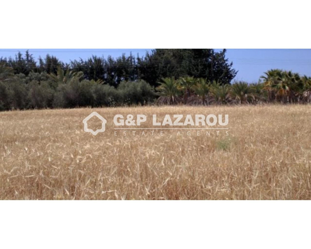 For Sale, Land, Field, Paphos, Kouklia, 6,308 m², EUR 485,000