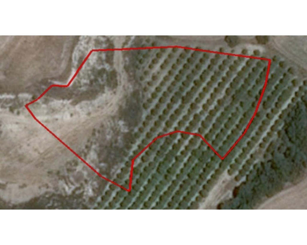 For Sale, Land, Field, Paphos, Polis, 7,693 m², EUR 85,000