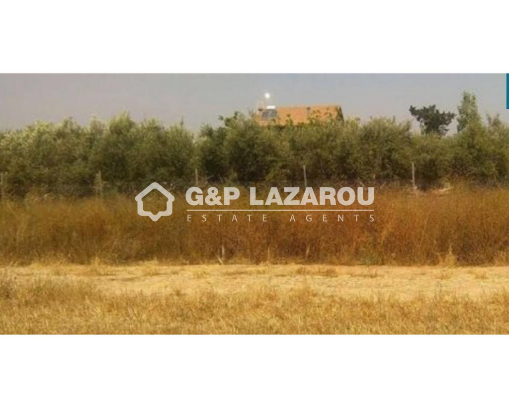 For Sale, Land, Field, Larnaca, Mazotos, 12,208 m², EUR 495,000