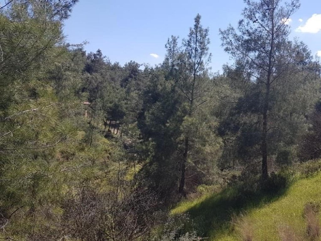 For Sale, Land, Nicosia, Kampia, 9,031m², €18,000