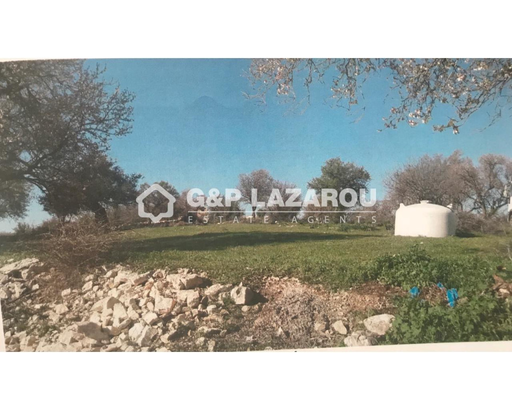 For Sale, Land, Field, Limassol, Dora, 3,679 m², EUR 120,000