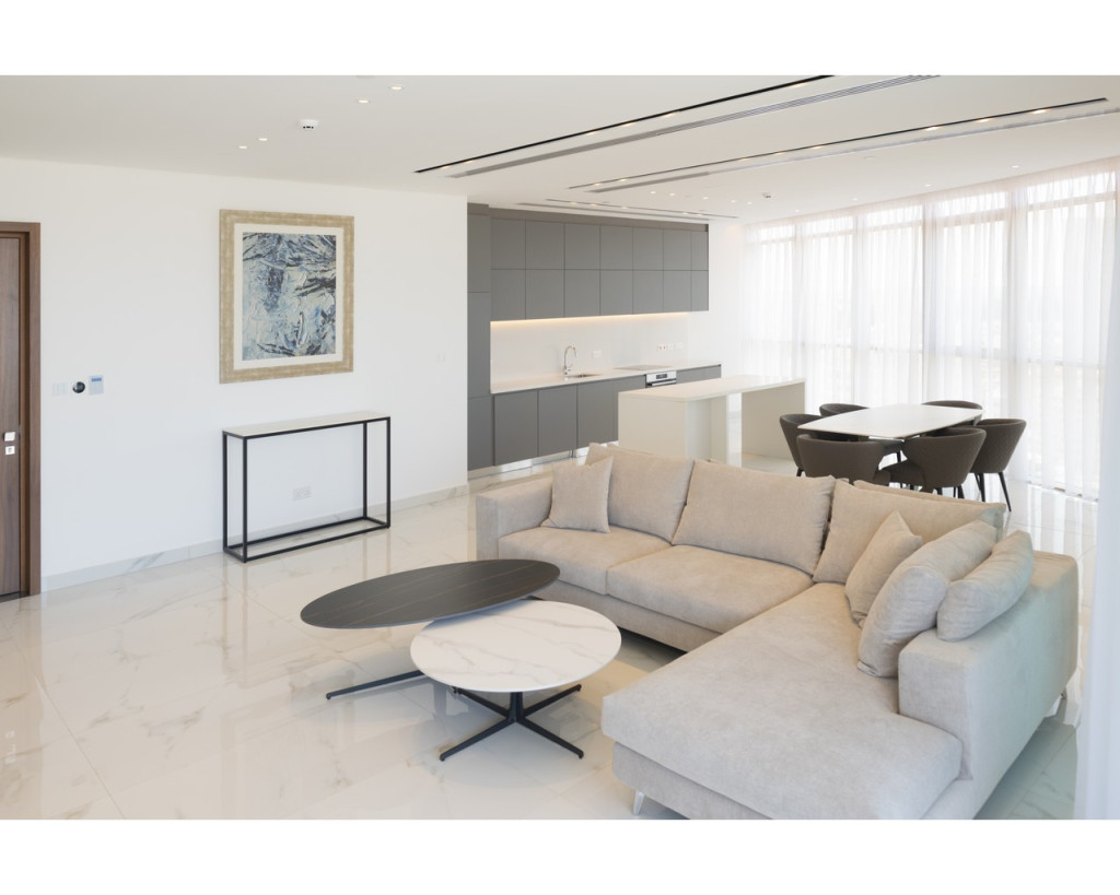 For Rent, Apartment, Standard Apartment, Nicosia, Nicosia Center, Nicosia Center, 156 m², EUR 4,000