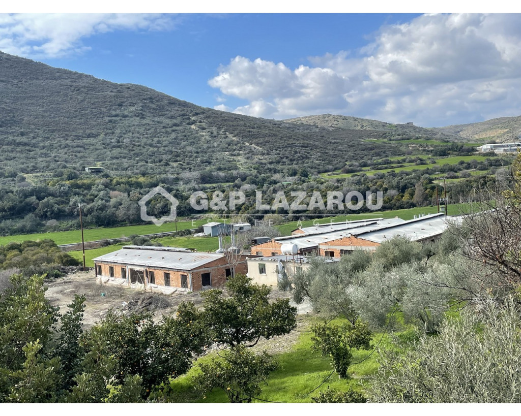 For Rent, Industrial, Warehouse, Larnaca, Agios Theodoros, 1,580 m², EUR 1,500